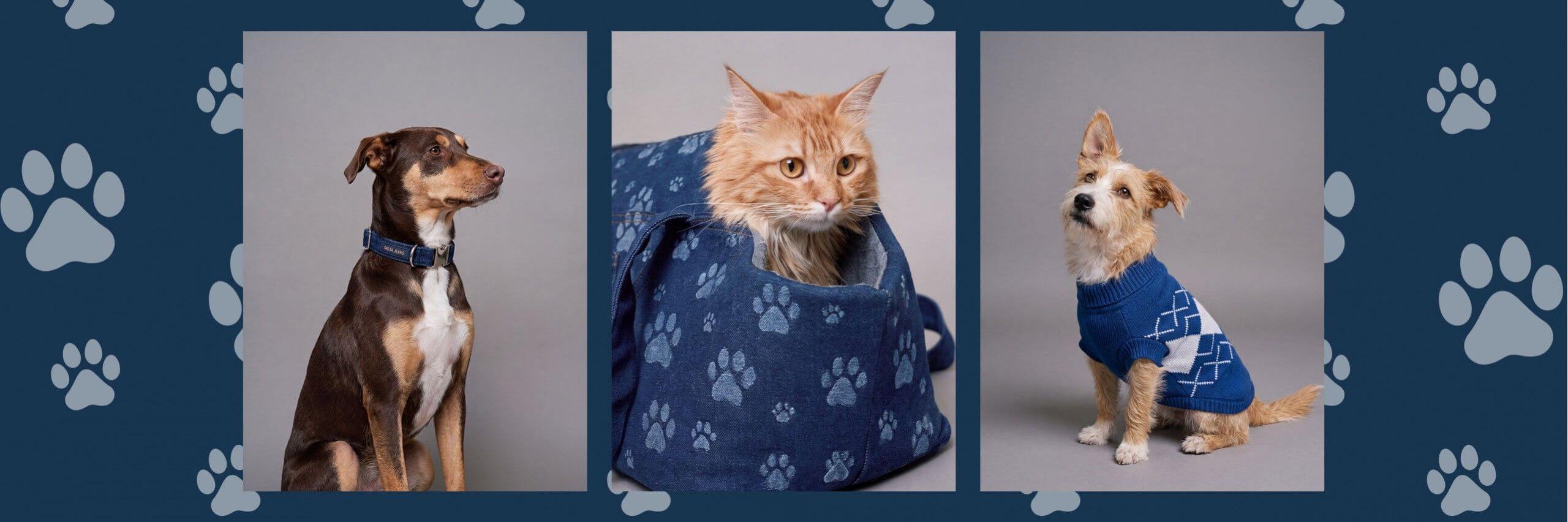 Use to the pawfect fit