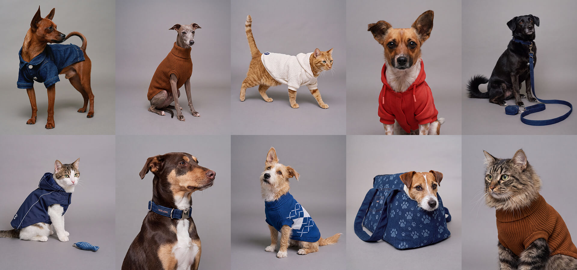 Use to pet collection