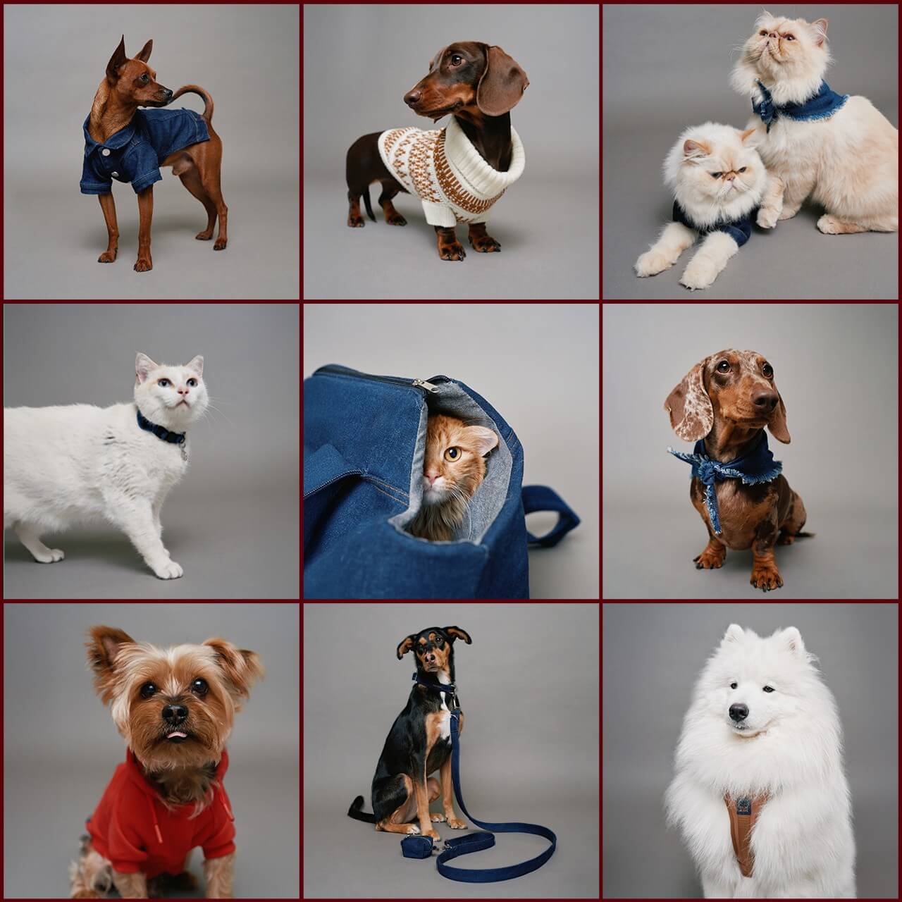 Utilize para ver mais