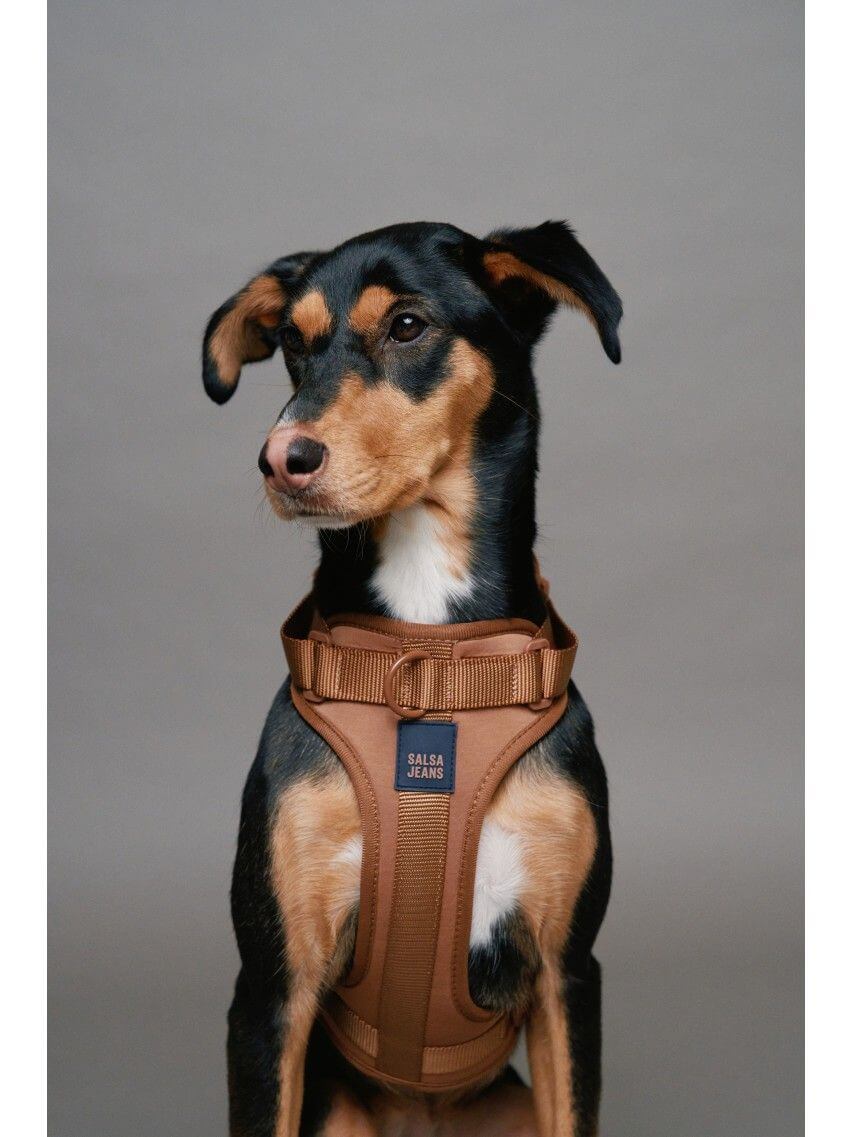 Verwenden Sie, um siehe mehr