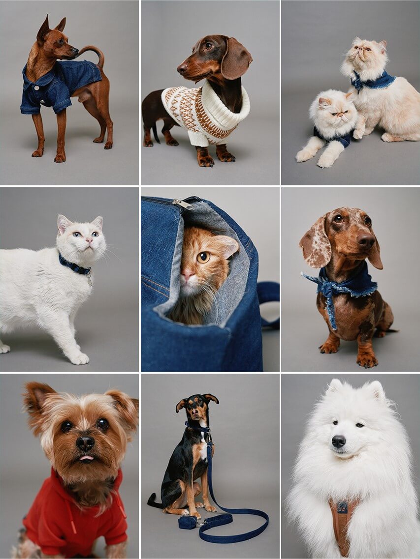 Utilize para  ver mais