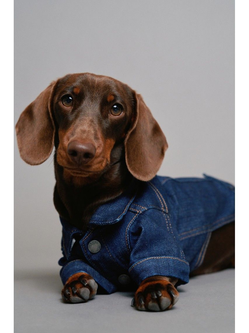 Verwenden Sie, um siehe mehr