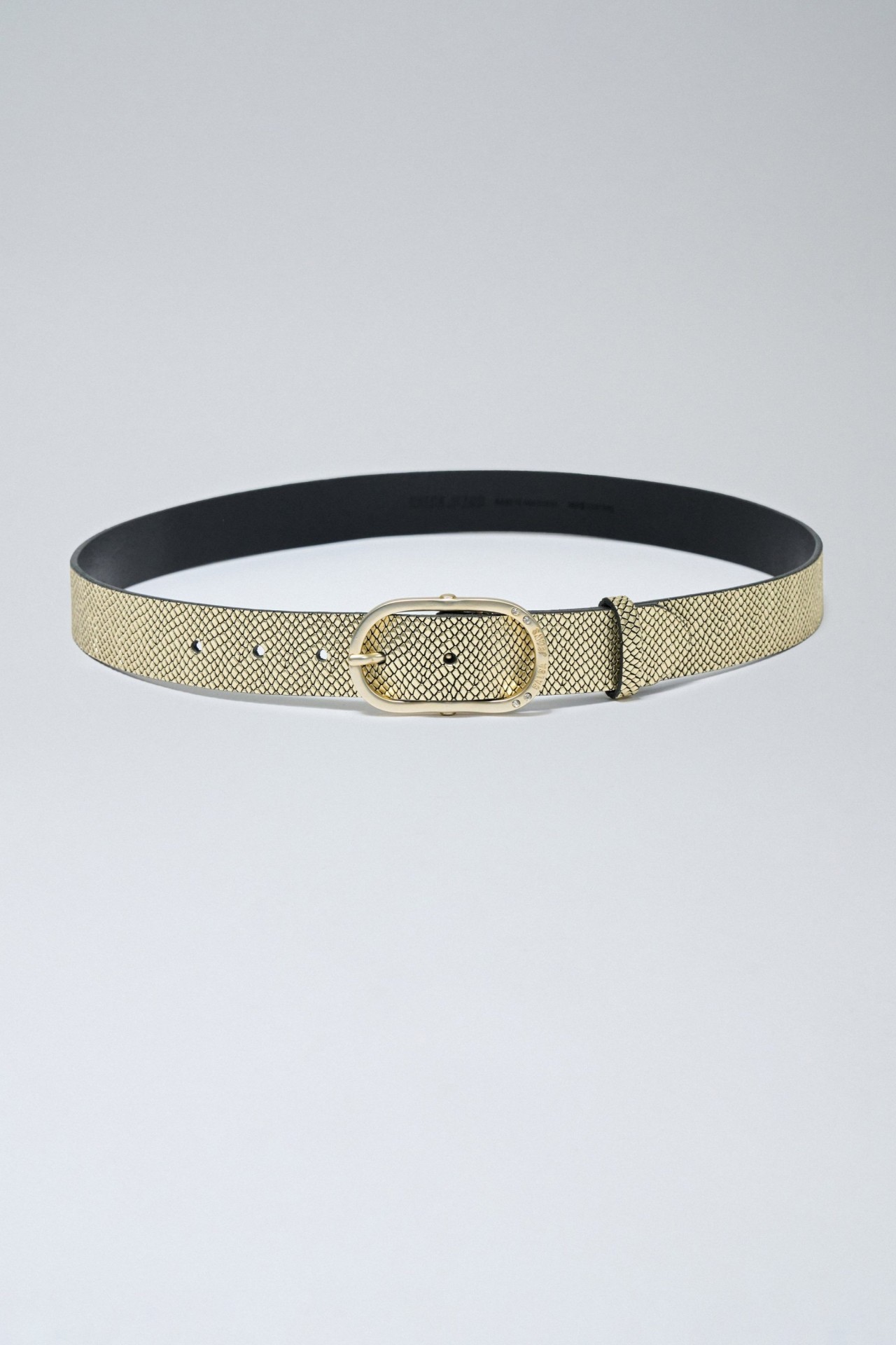 TEXTURED BELT