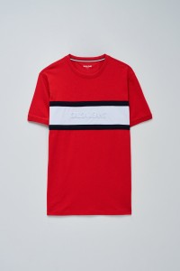 CAMISETA TRICOLOR