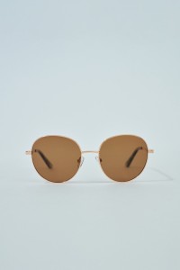 CHIC SUNGLASSES