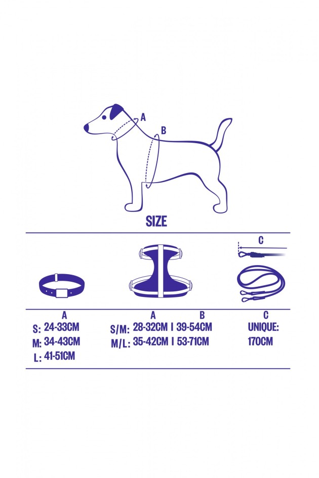 SET OF LEASH, COLLAR AND PET WASTE BAG HOLDER PET