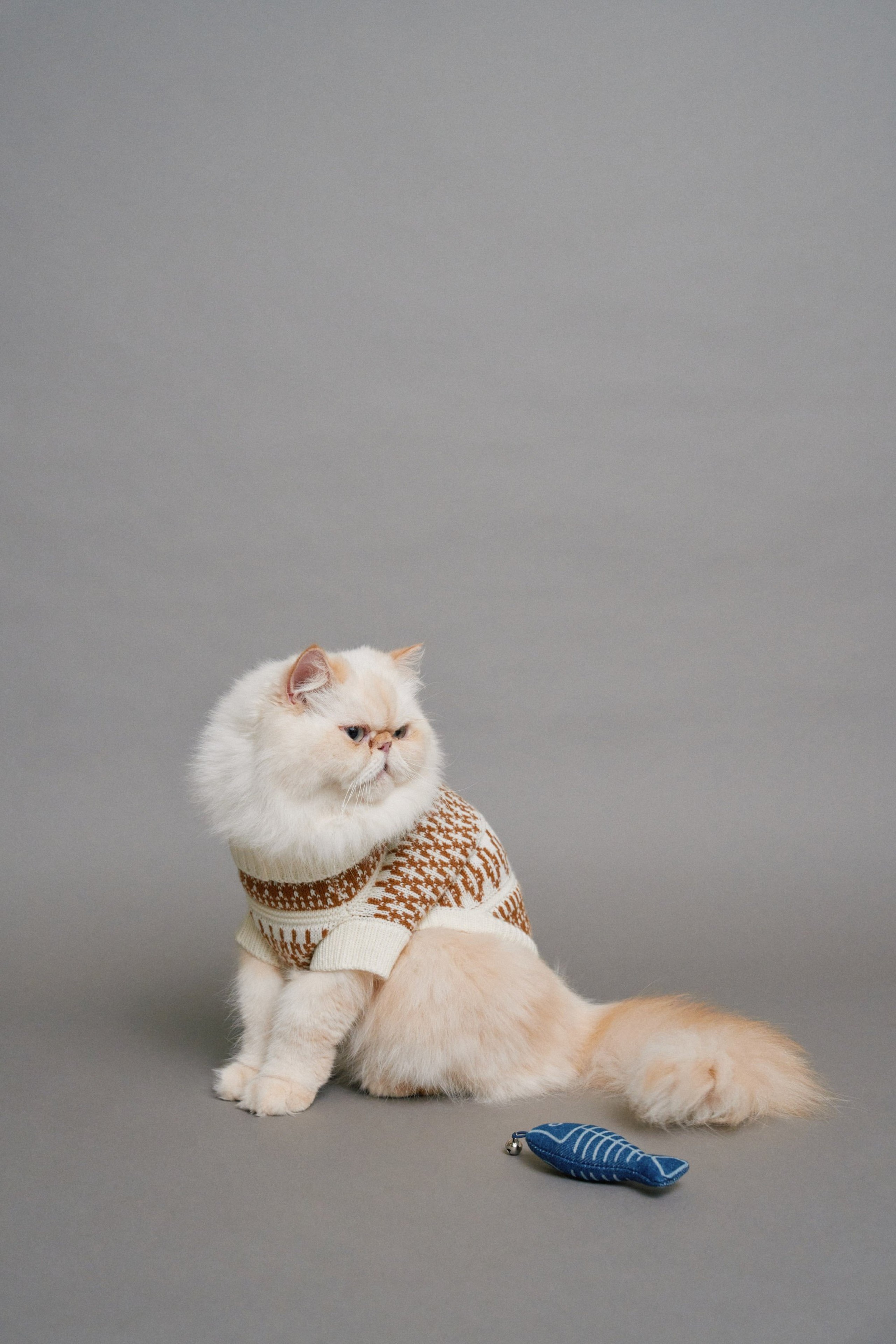 DENIM TOY PET FOR CAT