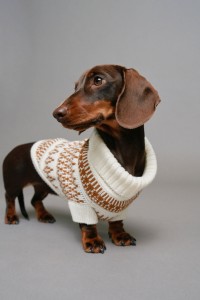 KNITTED SWEATER PET KNITTED SWEATER PET