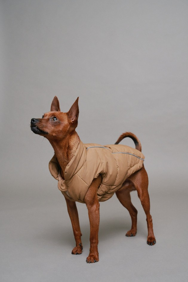 WATERPROOF PET COAT