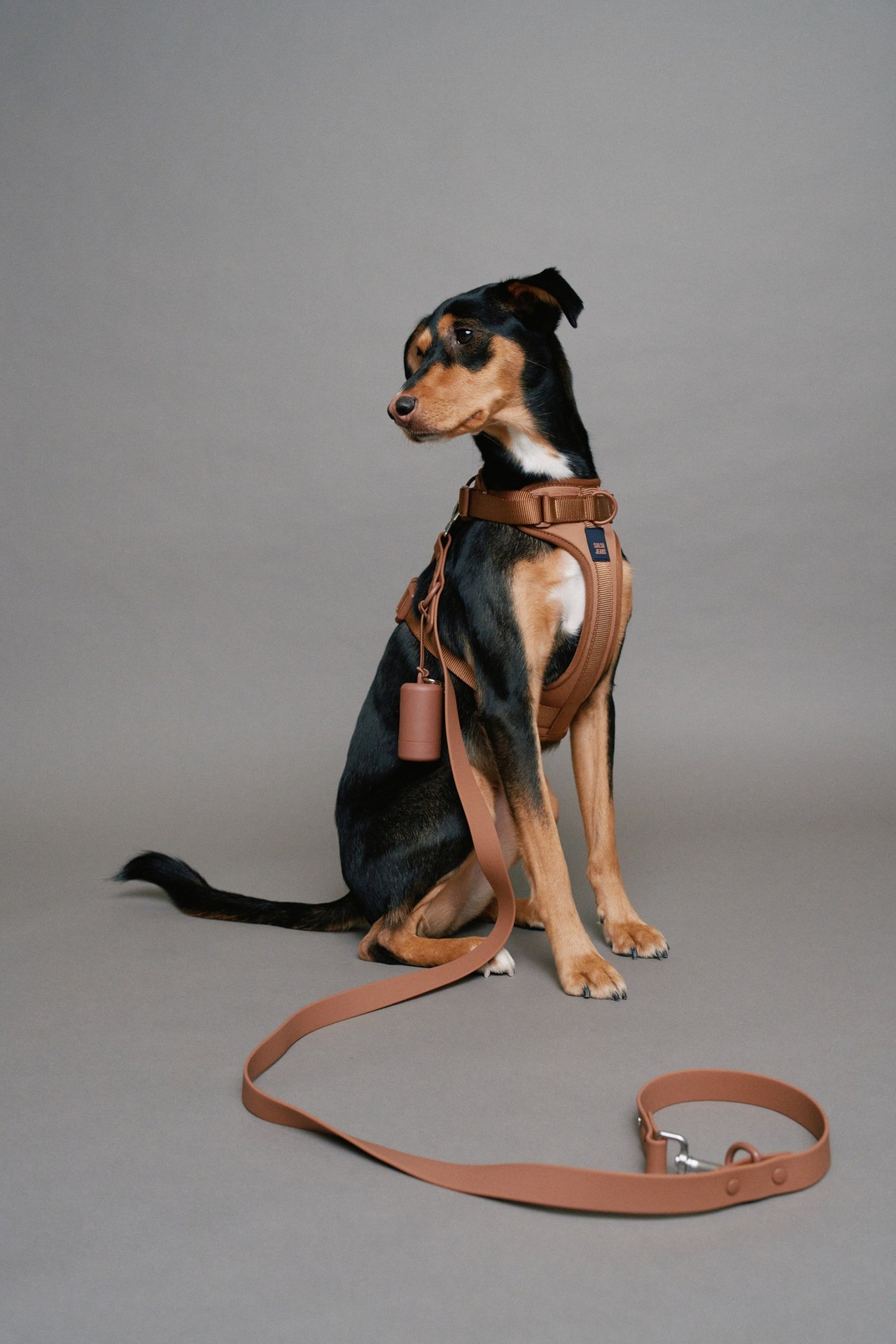 DOG LEASH, HARNESS AND WASTE BAG HOLDER PET SET