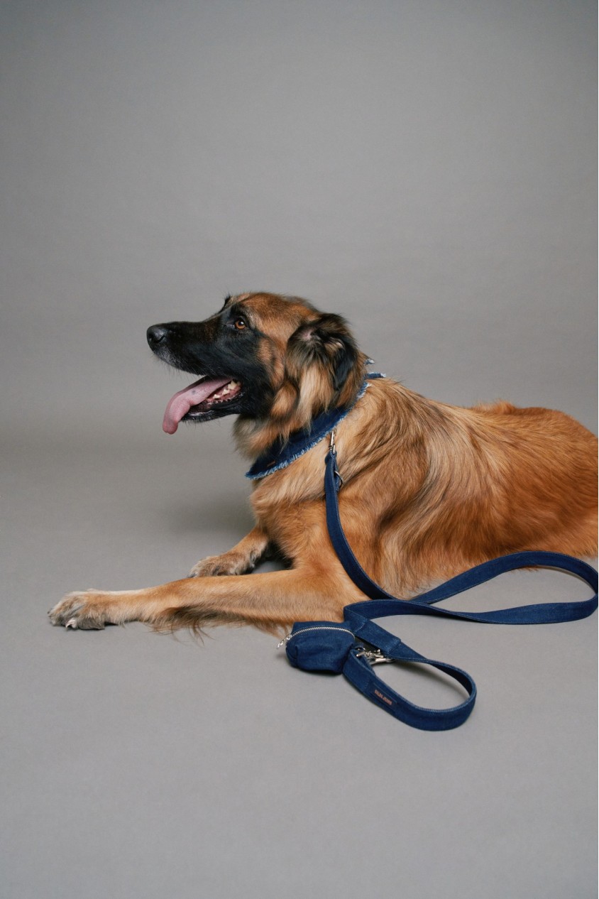 DENIM LEASH AND WASTE BAG HOLDER PET