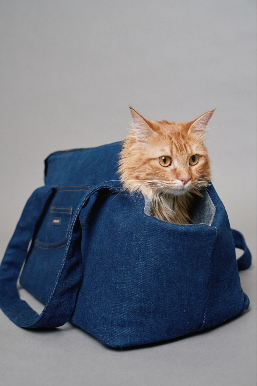 DENIM TRANSPORT BAG PET