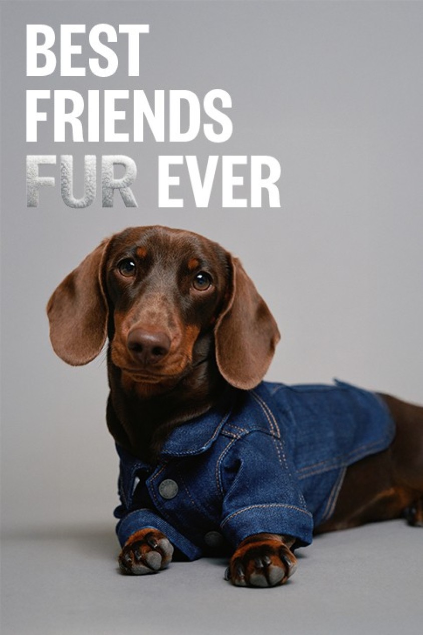 CHAQUETA DENIM PET