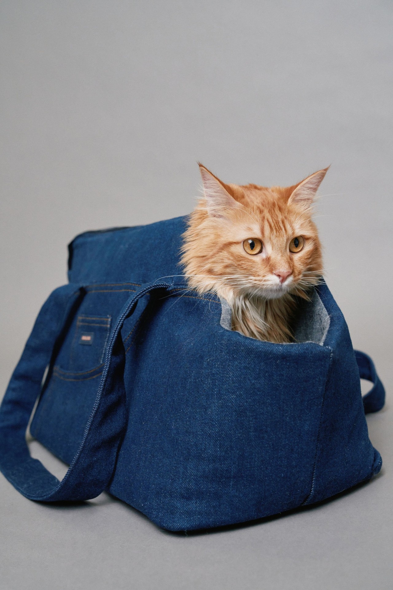 BOLSO DE TRANSPORTE DE DENIM PET