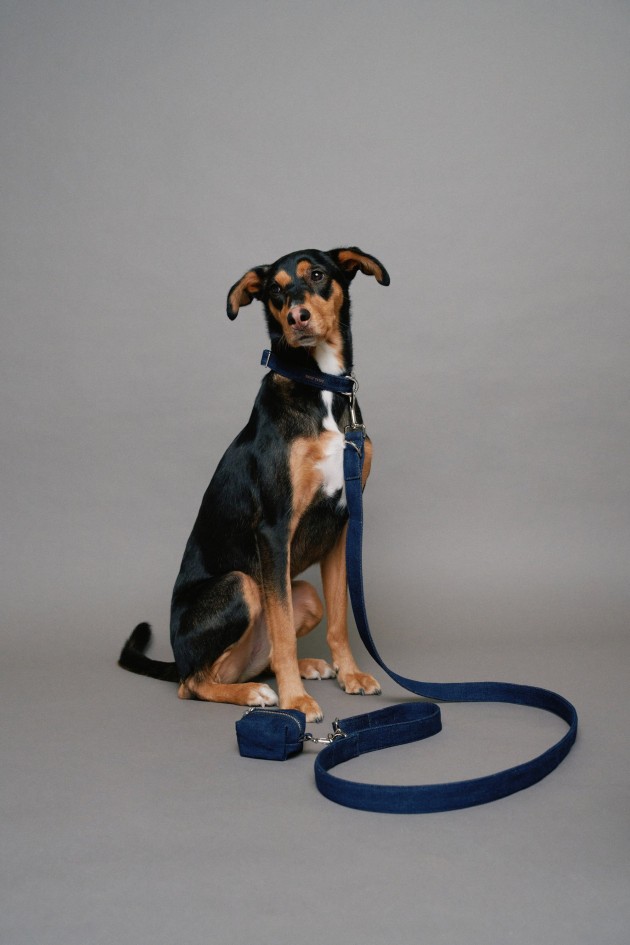 CONJUNTO TRELA E PORTA SACOS EM DENIM PET