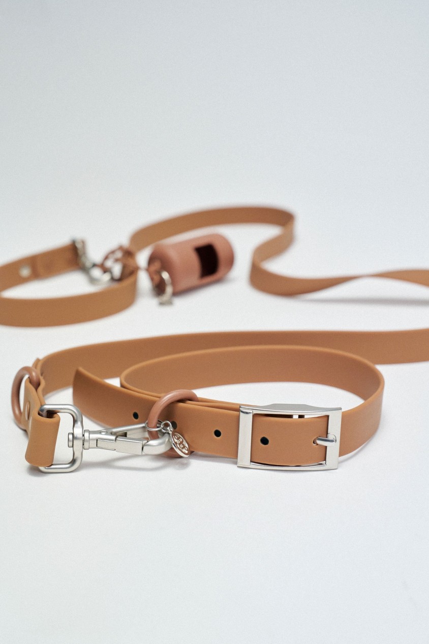 CONJUNTO DE CORREA, COLLAR Y PORTA BOLSAS PET