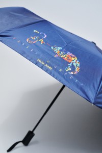 GUARDA-CHUVA PASSEIG DE GRAC�A