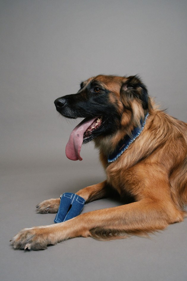 BRINQUEDO EM DENIM PET PARA C�O