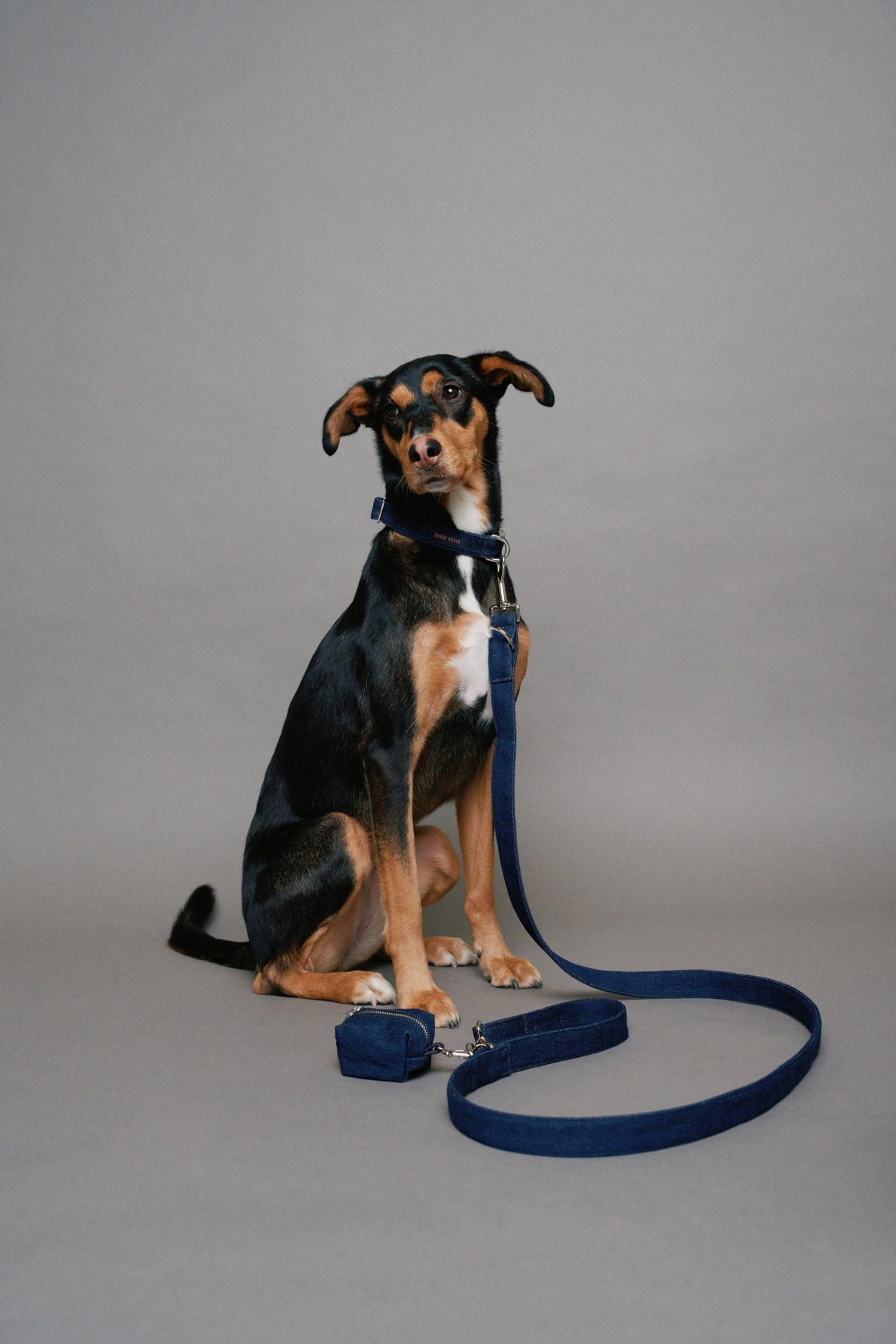 CONJUNTO TRELA E PORTA SACOS EM DENIM PET