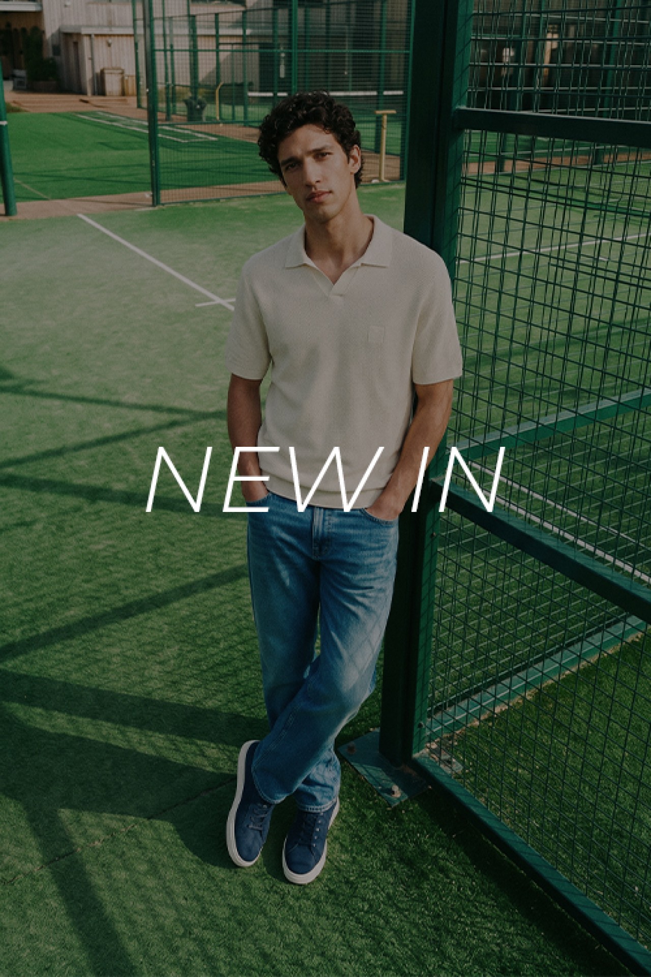 Discover the Collection