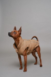 WASSERDICHTE JACKE PET WASSERDICHTE JACKE PET