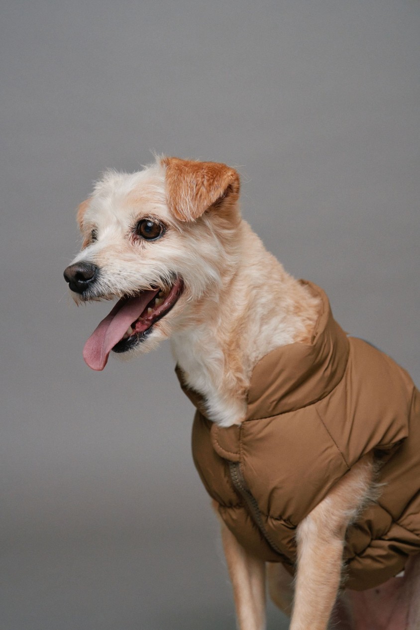 WASSERDICHTE JACKE PET