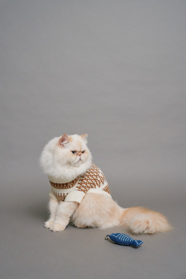 DENIM TOY PET FOR CAT