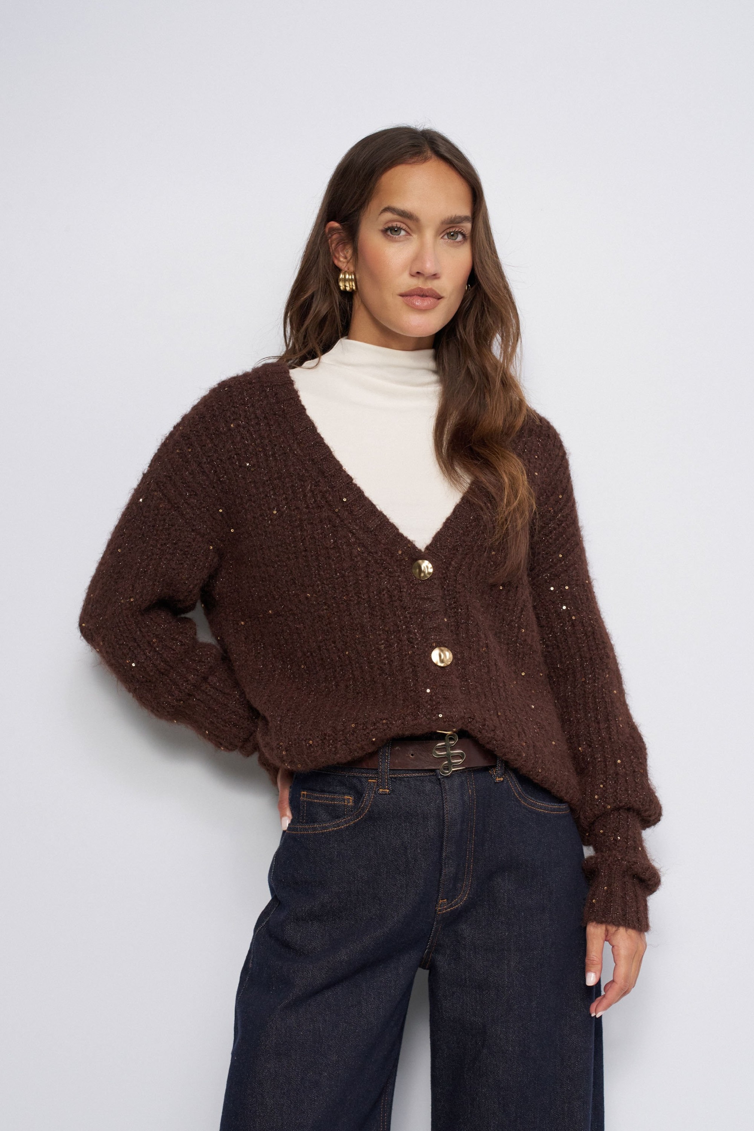 CARDIGAN MET PAILLETTEN