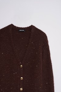 CARDIGAN MET PAILLETTEN CARDIGAN MET PAILLETTEN