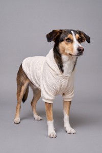 HOODIE PARA MASCOTA