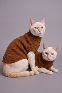 PET GEBREIDE TRUI