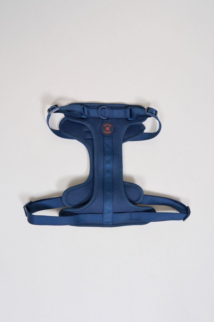 PET LEAD, HARNESS AND BAG HOLDER SET