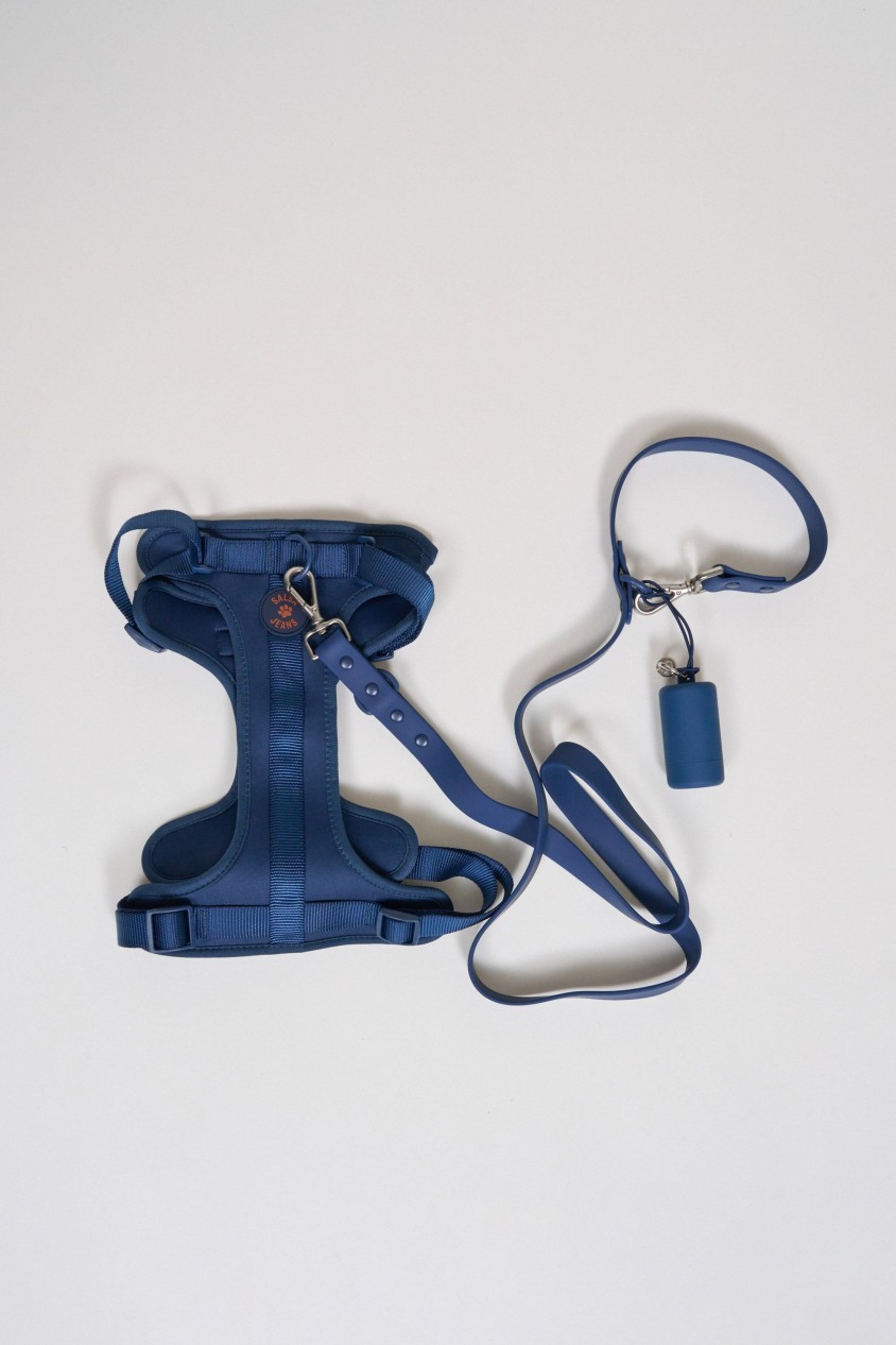 PET LEAD, HARNESS AND BAG HOLDER SET