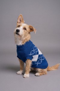 PET KNITTED JUMPER