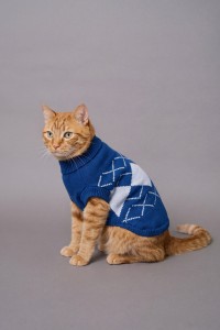 PET KNITTED JUMPER