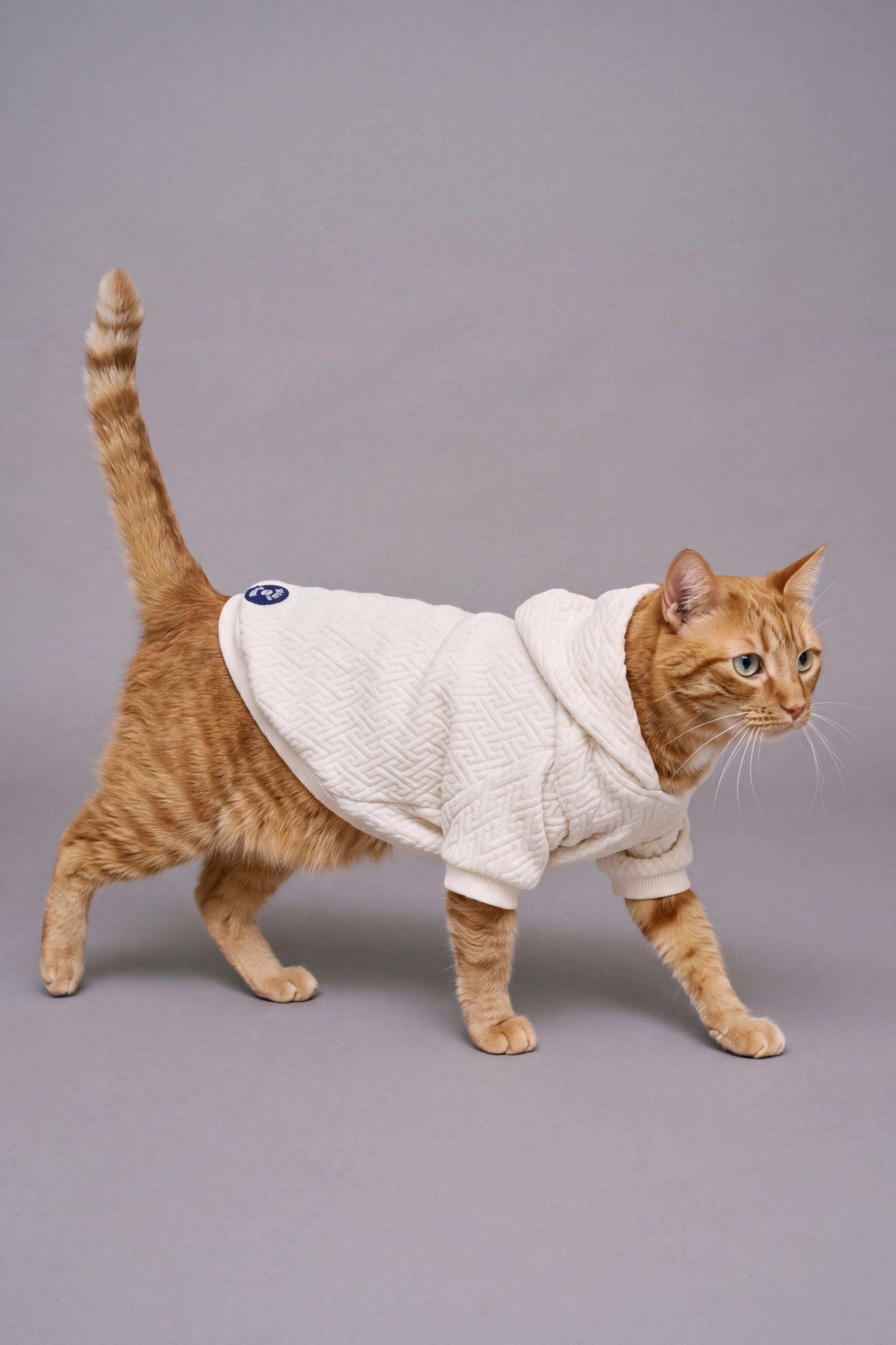 PET HOODIE