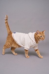 PET HOODIE PET HOODIE